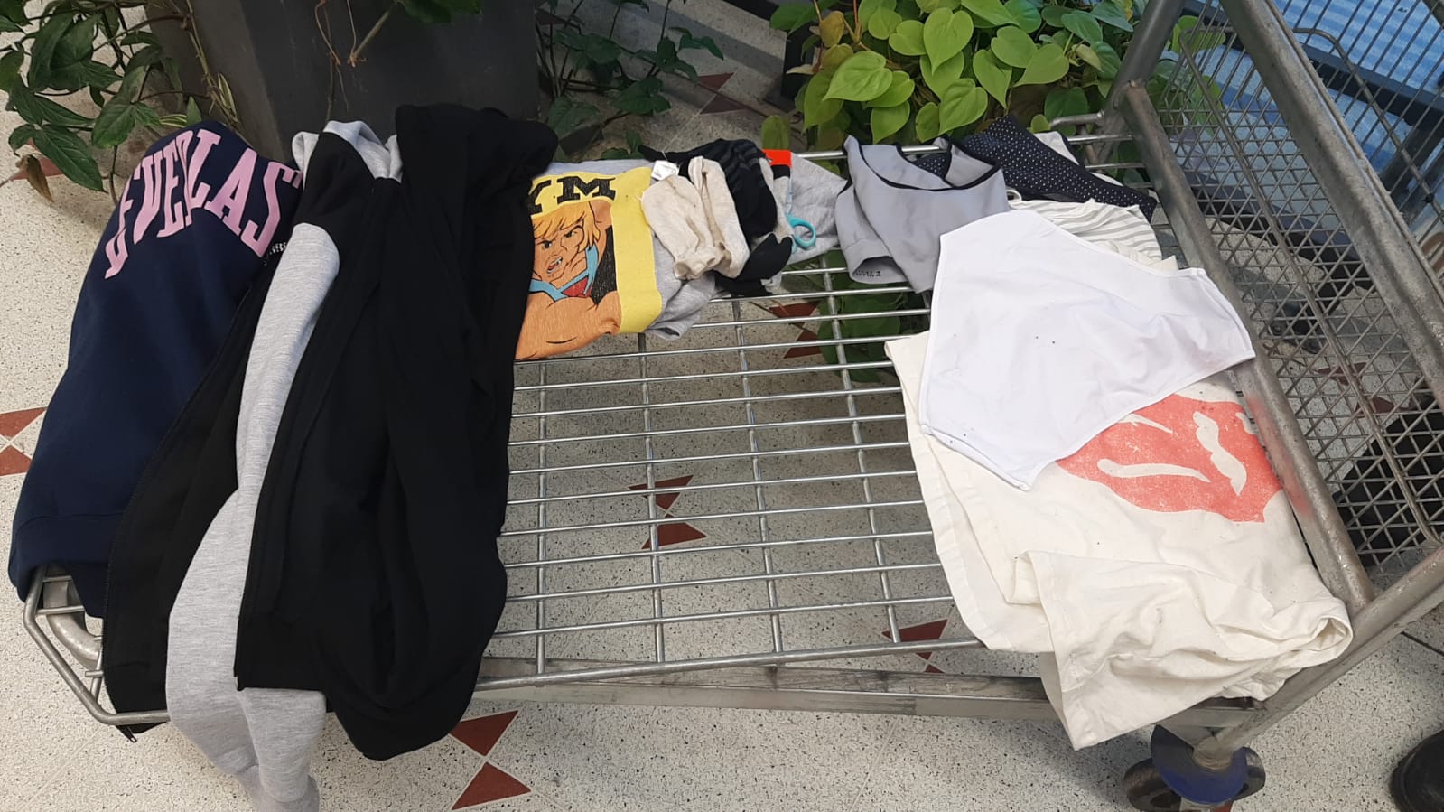 carrefour.jpeg