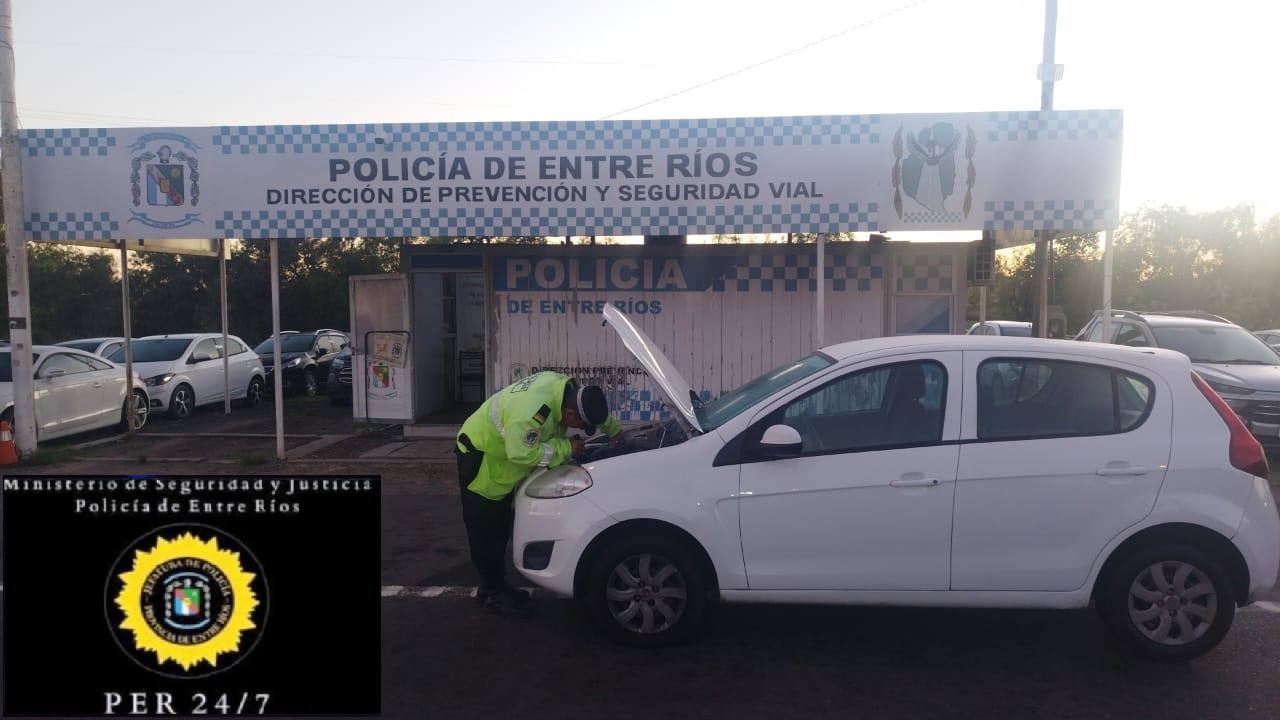palio.jpg